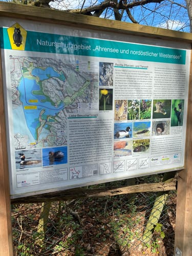 Rund um den Westensee