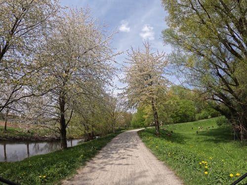 Knielinger See zum Erlachsee