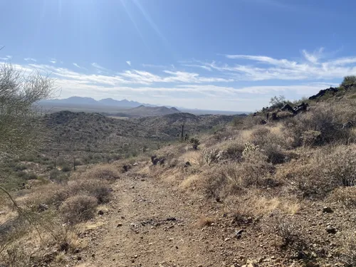 10 Best Hikes and Trails in Phoenix Sonoran Desert Preserve | AllTrails