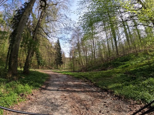 Knielinger See zum Erlachsee