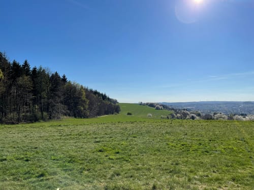 Hangarder Brunnenpfad (Premiumwanderweg)