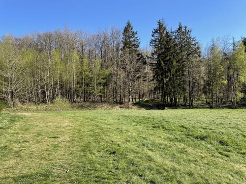 Hangarder Brunnenpfad (Premiumwanderweg)