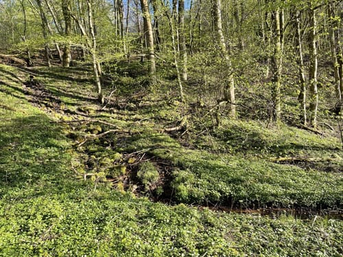 Hangarder Brunnenpfad (Premiumwanderweg)