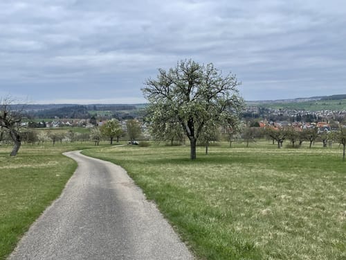 Malmsheim - Büchelberg