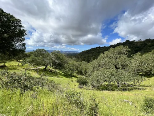 Giant Hand, Santa Rosa, California