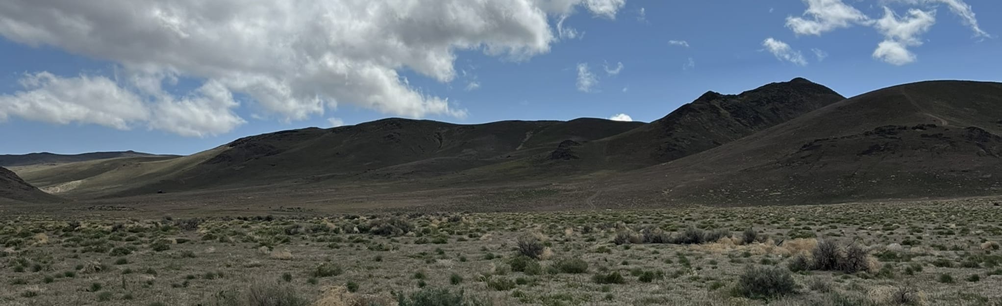 Pah Rah Interpretive Trail, Nevada - 73 Reviews, Map | AllTrails