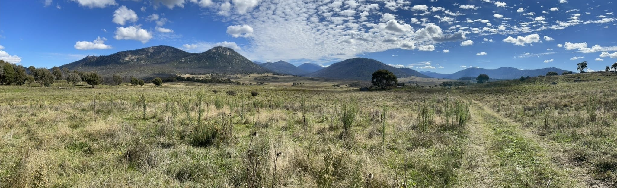 Yankee Hat Walking Track, New South Wales, Australia 20 Reviews, Map