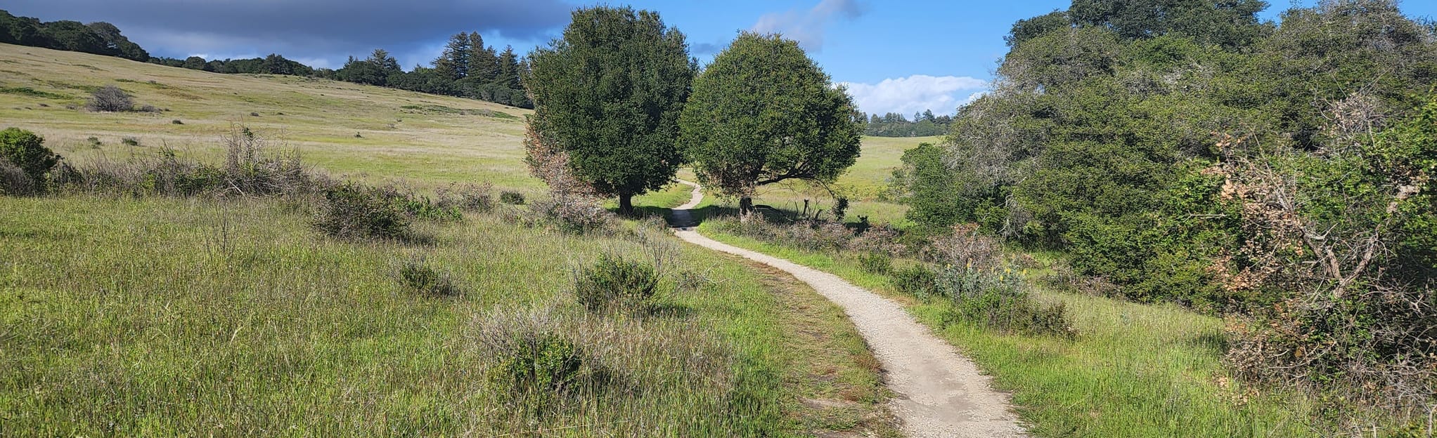 Old Cabin and Twin Oaks Trail - EyJidWNrZXQiOiJhc3NldHMuYWxsdHJhaWxzLmNvbSIsImtleSI6InVwbG9hZHMvcGhvdG8vaW1hZ2UvNDYyOTM4MzQvODRjMzMwZGQyNjdmNGFkNDYxODI1MmIyYjIwOGZiMWMuanBnIiwiZWRpdHMiOnsidG9Gb3JtYXQiOiJqcGVnIiwicmVzaXplIjp7IndpZHRoIjoyMDQ0LCJoZWlnaHQiOjYyNCwiZml0IjoiY292ZXIifSwicm90YXRlIjpudWxsLCJqcGVnIjp7InRyZWxsaXNRdWFudGlzYXRpb24iOnRydWUsIm92ZXJzaG9vdERlcmluZ2luZyI6dHJ1ZSwib3B0aW1pc2VTY2FucyI6dHJ1ZSwicXVhbnRpc2F0aW9uVGFibGUiOjN9fX0=