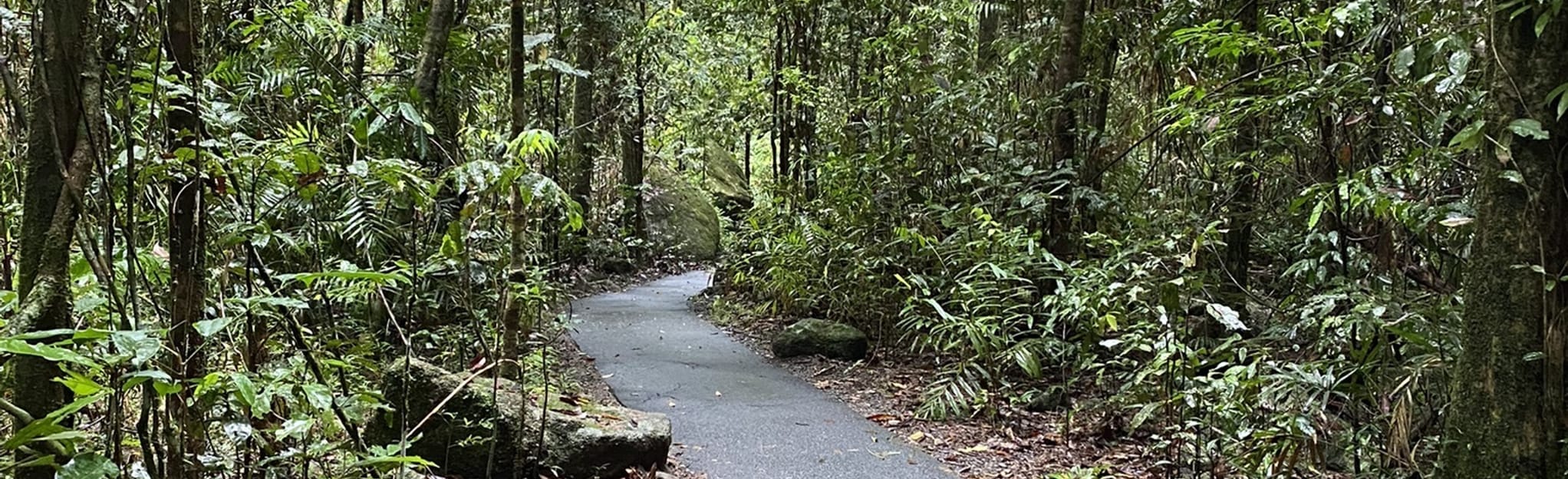 Josephine Falls Trail, Queensland, Australia - 62 Reviews, Map | AllTrails