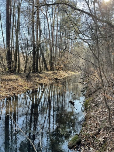 Naturlehrpfad Schutzgebiet Blankenfelder See und Dahlewitzer Heide