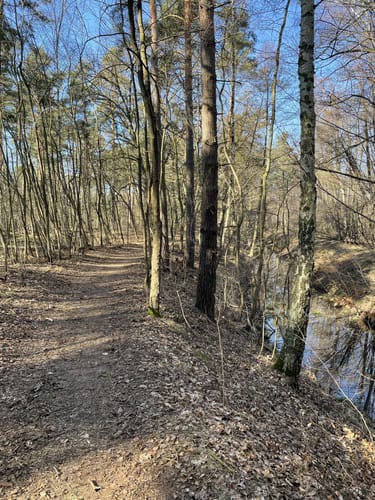 Naturlehrpfad Schutzgebiet Blankenfelder See und Dahlewitzer Heide