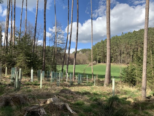 Laubendorf: Entlang des Weiherbaches und Altbaches
