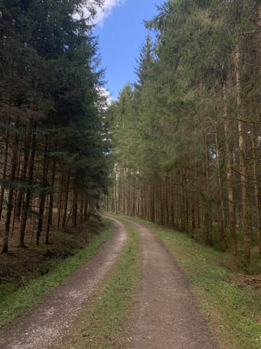 Laubendorf: Entlang des Weiherbaches und Altbaches
