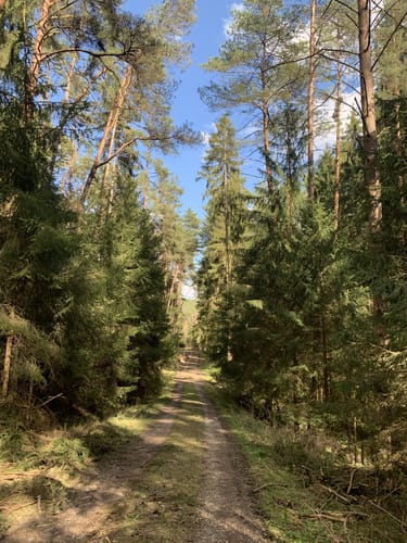 Laubendorf: Entlang des Weiherbaches und Altbaches
