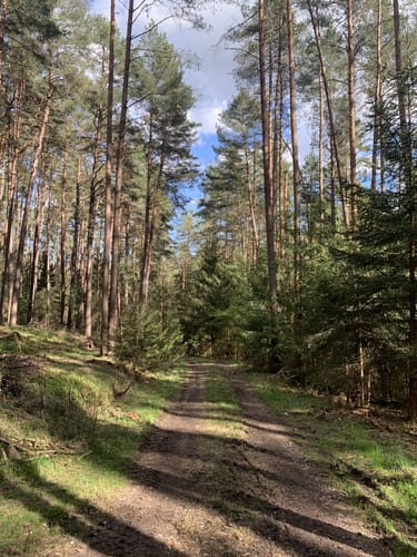 Laubendorf: Entlang des Weiherbaches und Altbaches