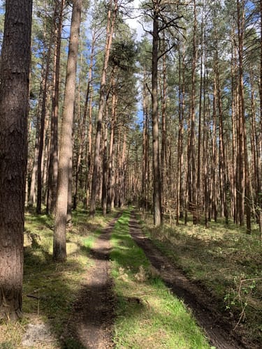 Laubendorf: Entlang des Weiherbaches und Altbaches