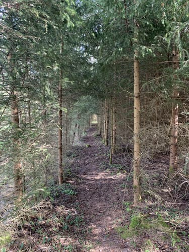 Laubendorf: Entlang des Weiherbaches und Altbaches