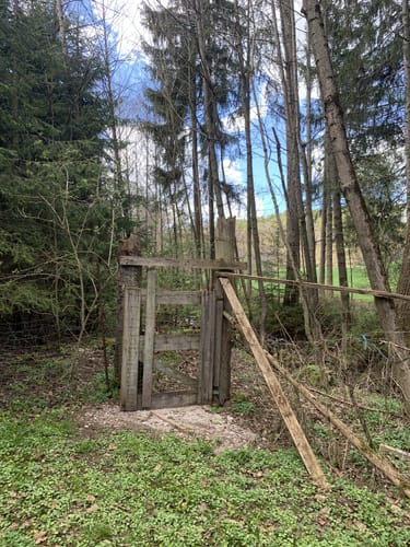 Laubendorf: Entlang des Weiherbaches und Altbaches