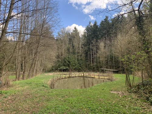 Laubendorf: Entlang des Weiherbaches und Altbaches