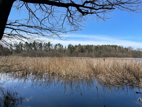 Niederau Rundweg Gelber Punkt