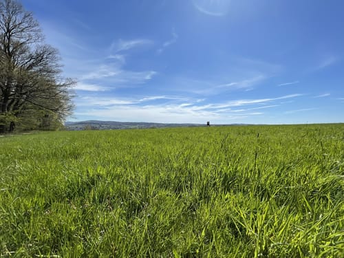 Wildwiesenweg - Erlebnisweg Sieg