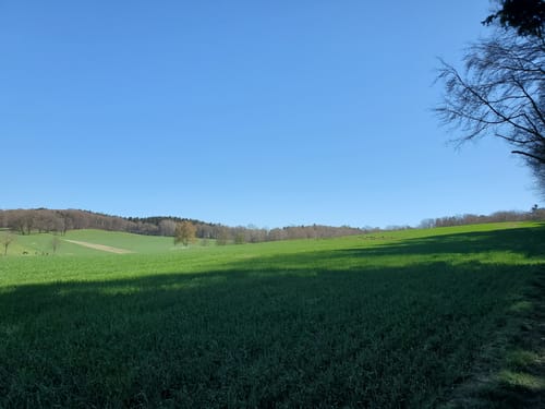 Hasselbrack