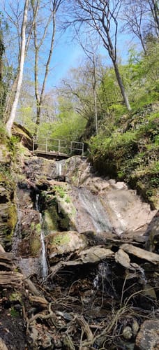 Rheinsteig Etappe 10: Koblenz - Niederlahnstein