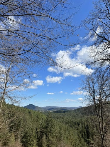 Napoleon-Steig (Premiumwanderweg)