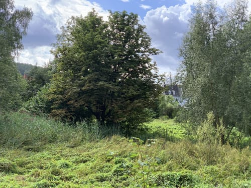 Rund um Clodra und Buchwald