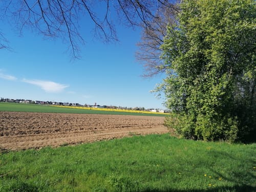 Rund um den Zülpicher See