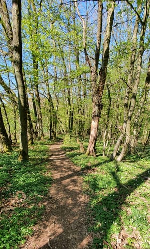 Themenweg: Rund ums liebe Vieh