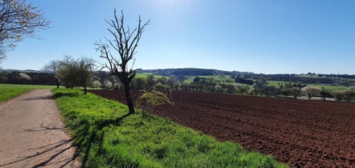Themenweg: Rund ums liebe Vieh