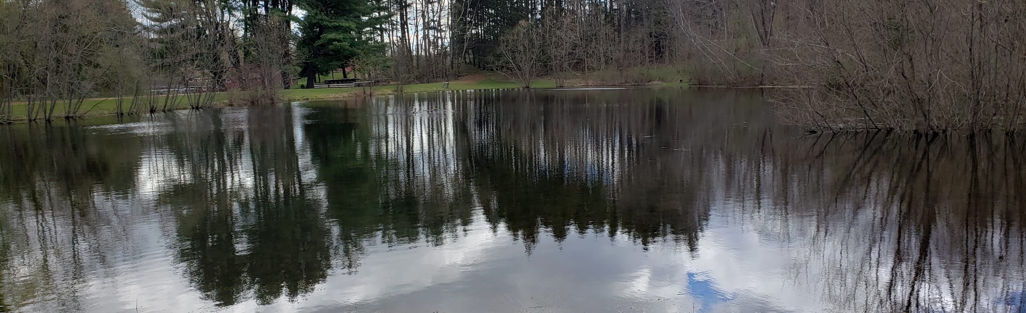 Brooksvale Red, Blue, and Green Trail Loop, Connecticut 59 Reviews