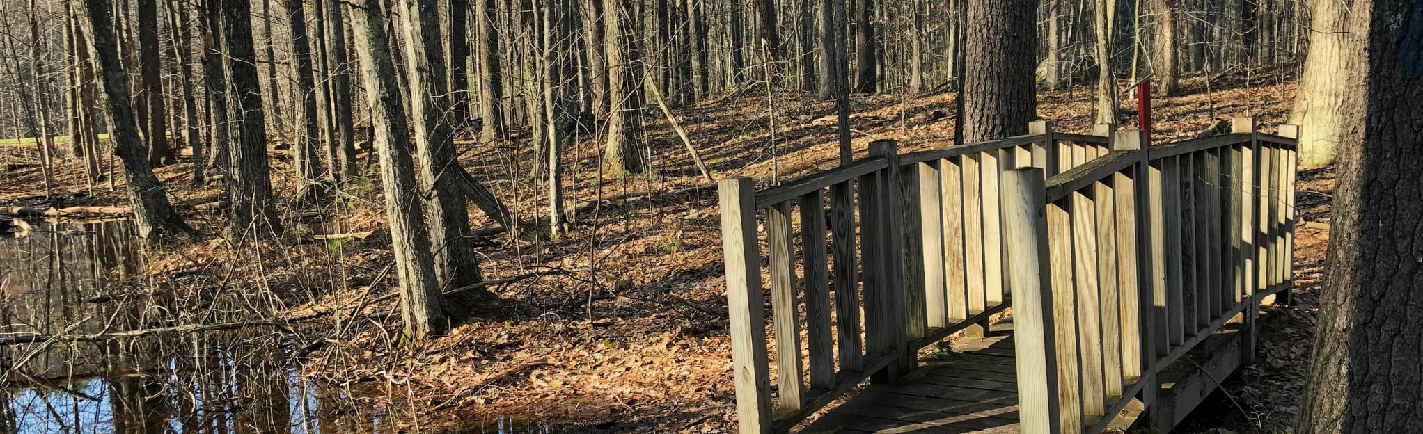 Alfred Elementary School Nature Hike, Maine 4 Reviews, Map AllTrails