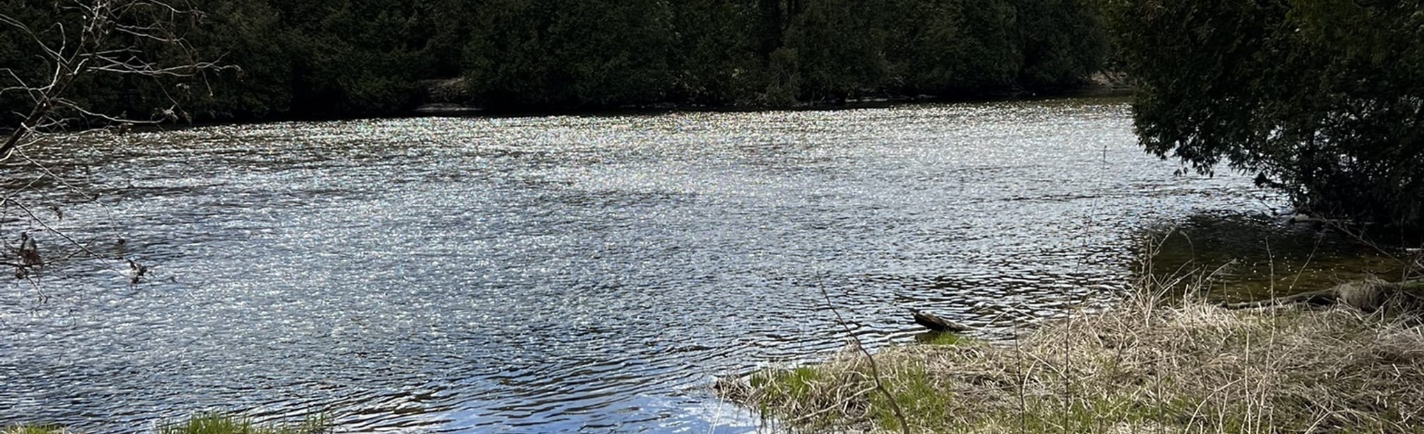 Whitelaw Road Trail 23 foto's Ontario, Canada AllTrails