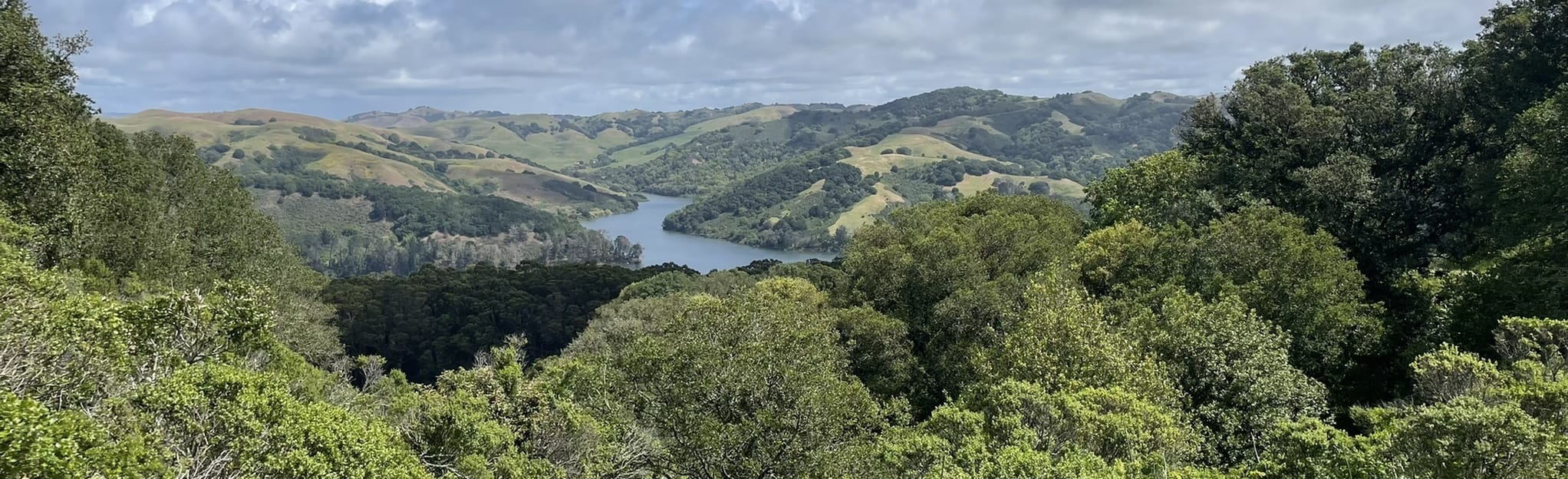 Bay Area Ridge Trail Kennedy Grove to Tilden Regional Park 1.511 foto