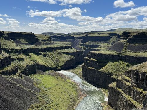 are dogs allowed at palouse falls state park