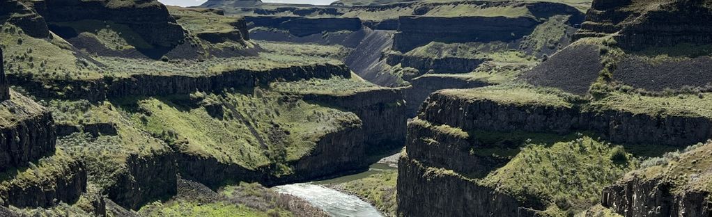 are dogs allowed at palouse falls state park