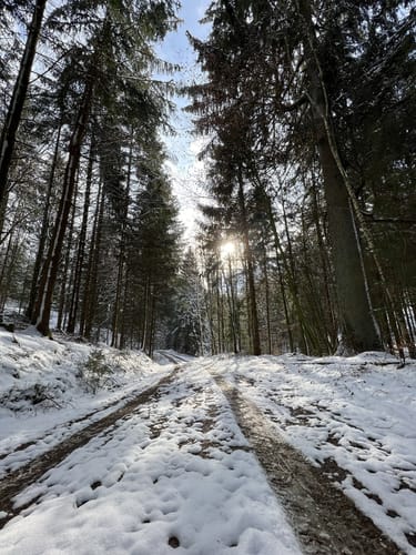 Durch den Wald bei Eitenzell