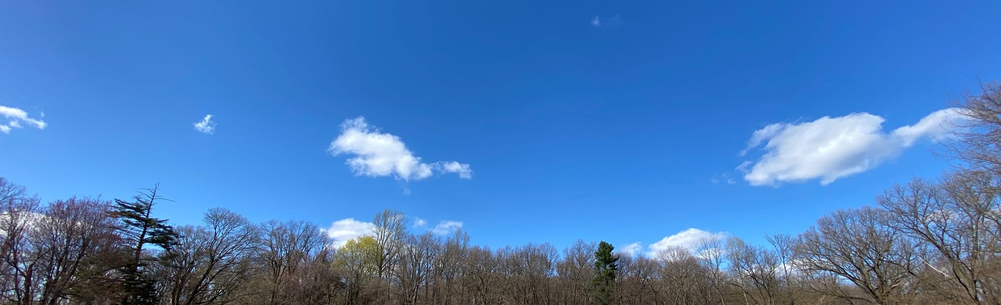 Ferndale Trail, Pennsylvania 73 Reviews, Map AllTrails