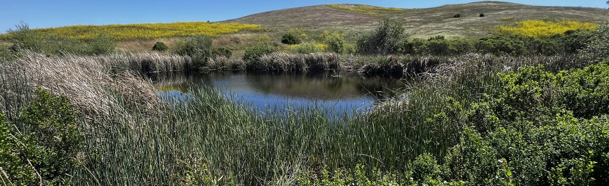 Sycamore Grove Trail with South Loop, California 622 Reviews, Map