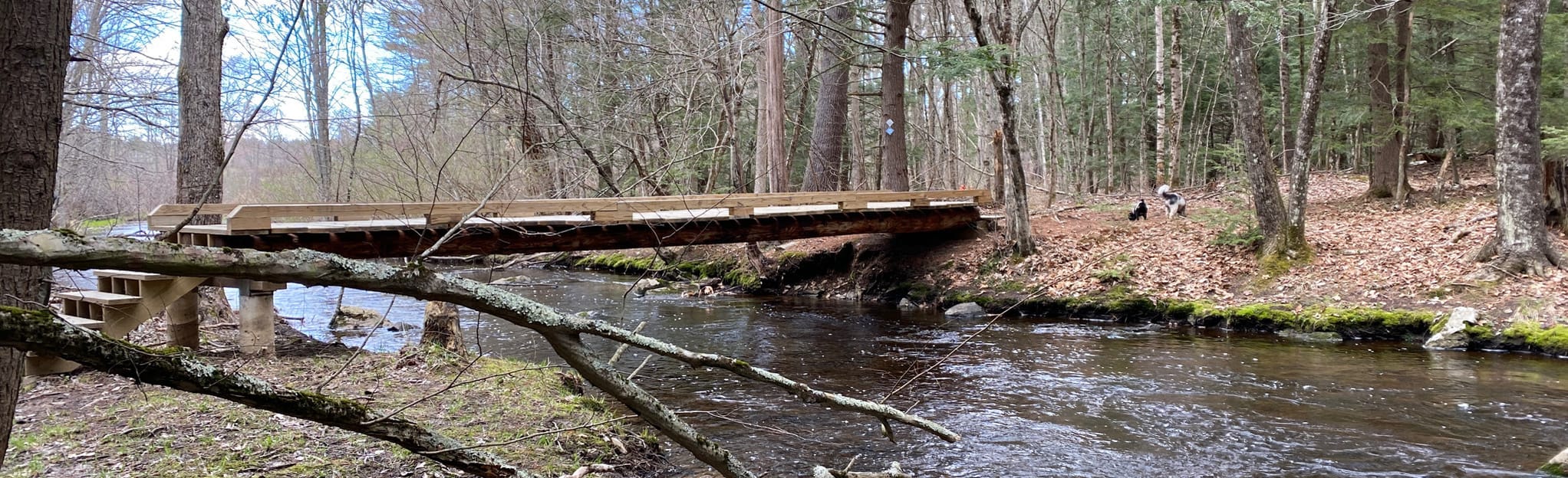 Split Rock Conservation Area Loop New Hampshire AllTrails