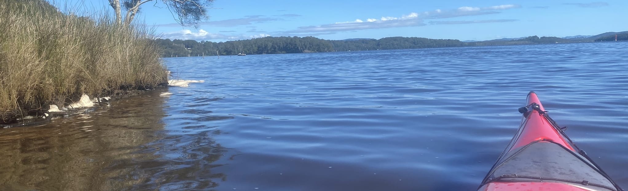 Wallis Lake Paddle Coomba Park to Rose Point, New South Wales