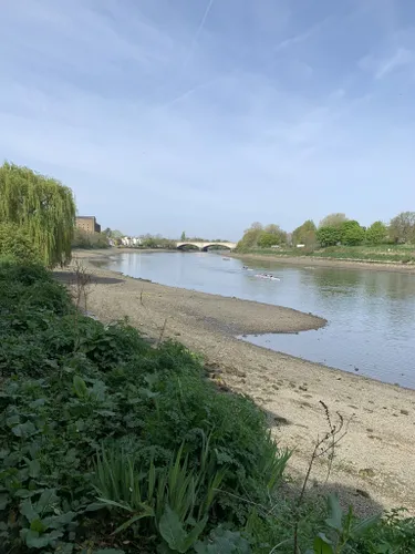 que playas en inglaterra permiten perros