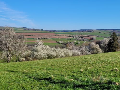Schluchtenpfad Sinspelt(NaturWanderPark delux)