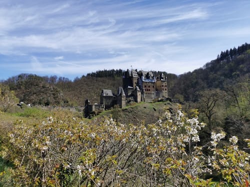 Buchsbaum-Wanderpfad und Burg Eltz mit Hunden