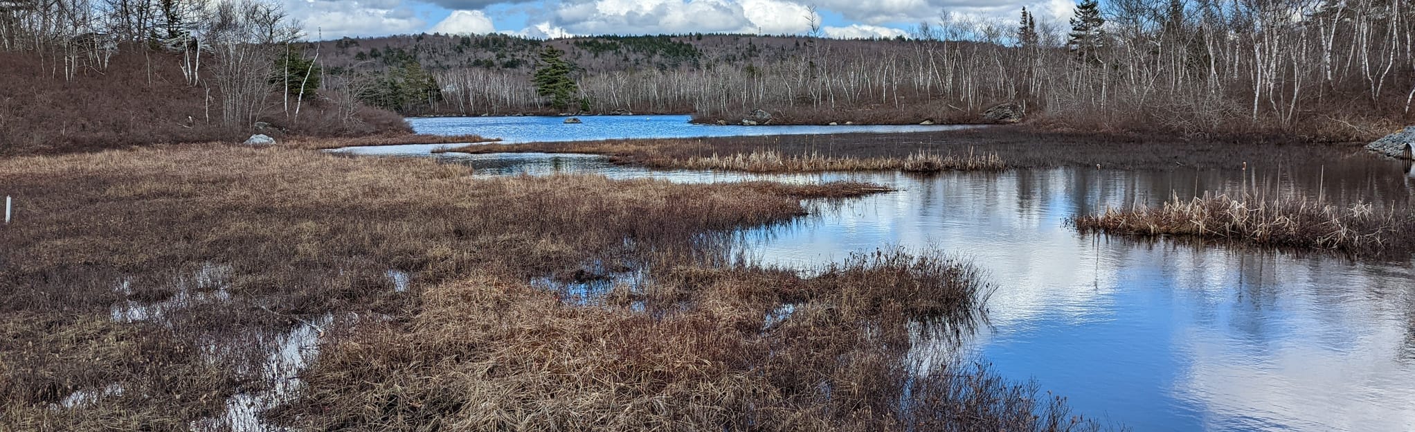 Lake William Trail, Nova Scotia, Canada 306 Reviews, Map AllTrails