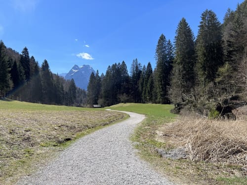 Katzenstein-Kochelberg Rundweg