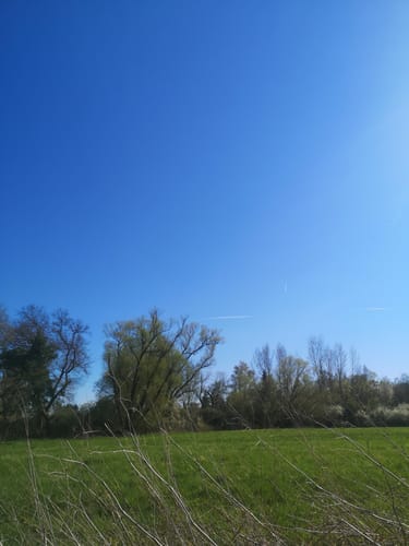 Mühlengrabenpfad und Eder