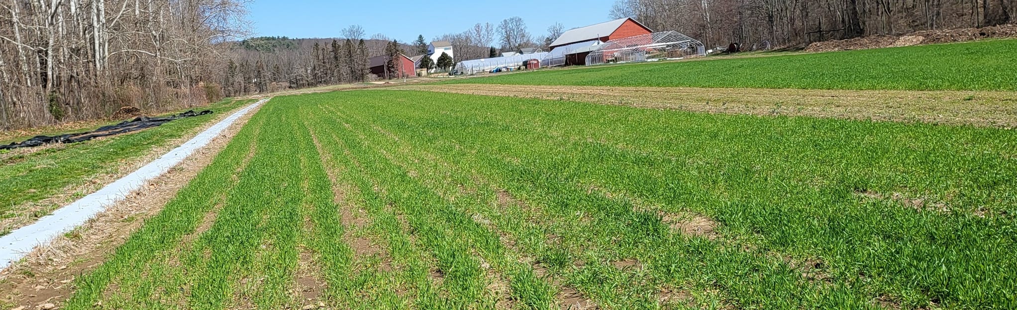 Farm Western Trails (Outer Loop) [CLOSED], Connecticut 133